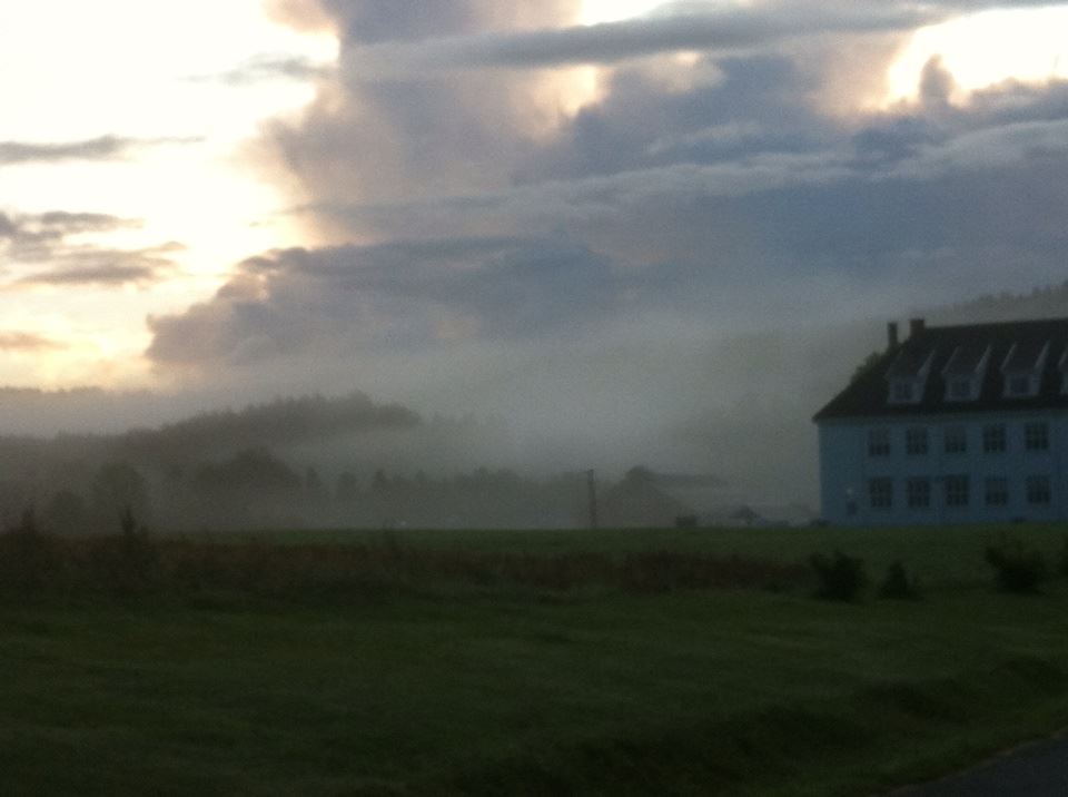 Misty morning at home